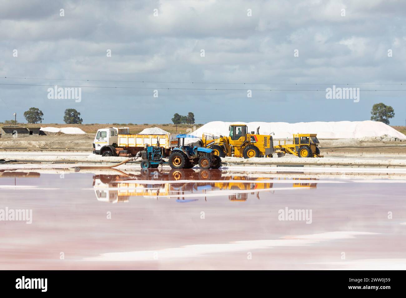 Récolte de sel marin commercial dans des marais d'évaporation, marais salants Kliphoek, Velddrif, côte ouest, Afrique du Sud Banque D'Images