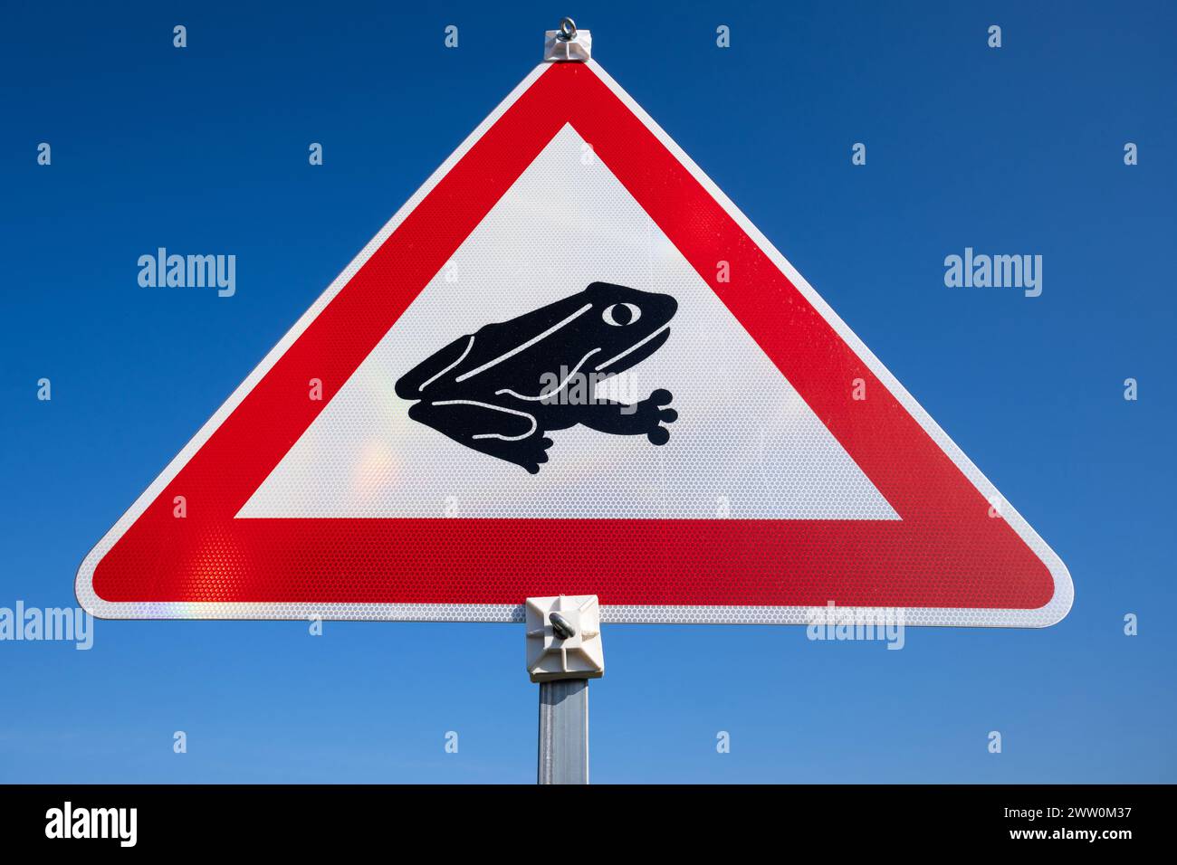 Panneau routier allemand : amphibiens Banque D'Images