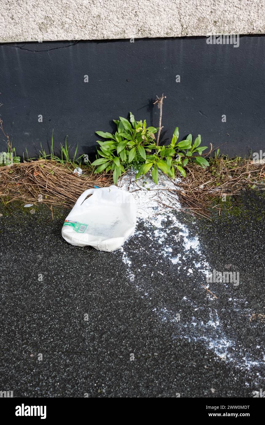 Du lait renversé sur le trottoir Banque D'Images Du lait renversé sur le trottoir Banque D'Images