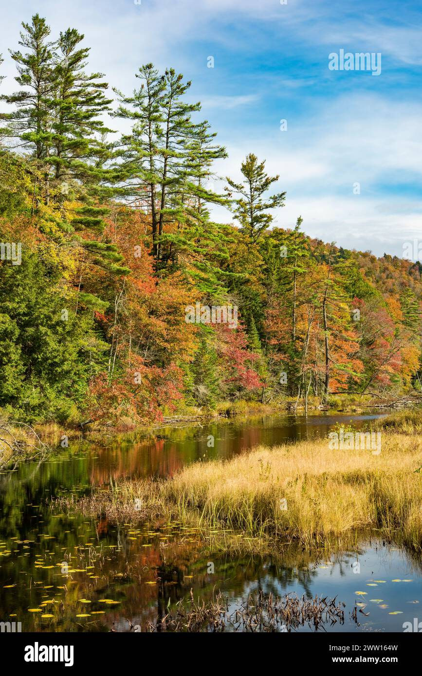 Oxbow Lake en automne, Adirondack Mountains, New York Banque D'Images