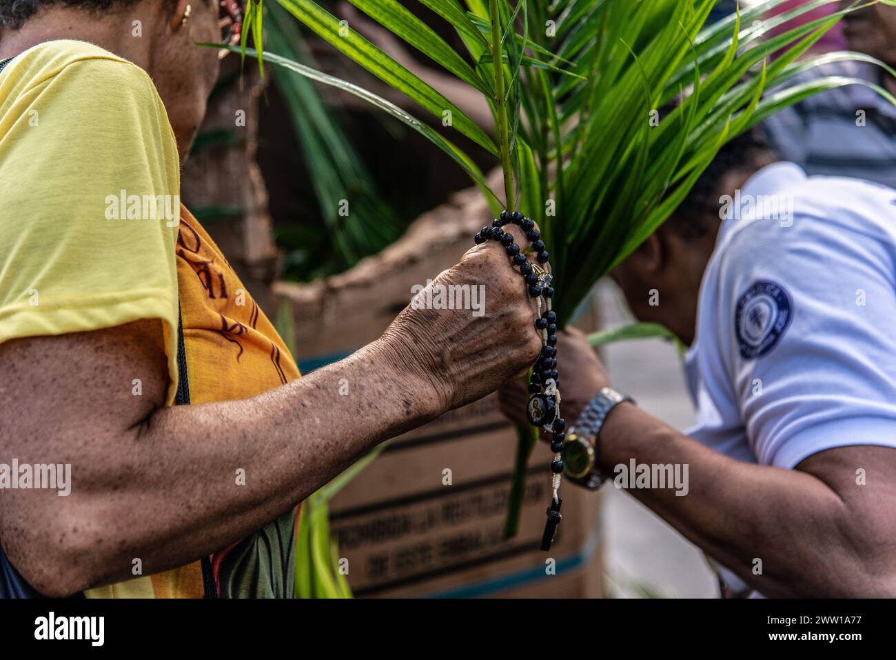 Salvador, Bahia, Brésil - 14 avril 2019 : des gens sont vus avec des branches de palmier pendant la procession du dimanche des Rameaux dans la ville de Salvador, Bahia. Banque D'Images