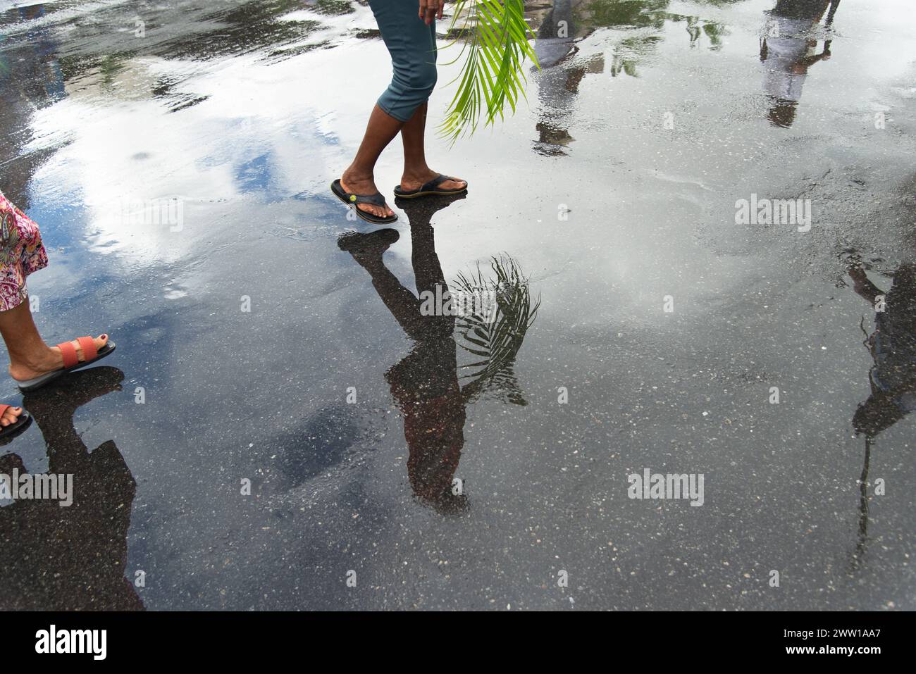 Salvador, Bahia, Brésil - 14 avril 2019 : on voit des catholiques, en réflexion sur le sol humide, tenir des plantes pendant la célébration du dimanche des Rameaux en th Banque D'Images