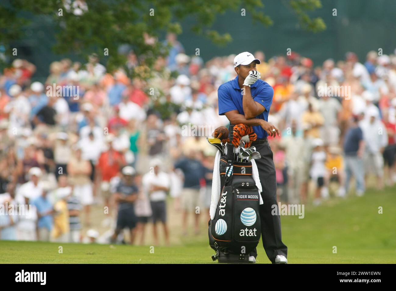 Tiger Woods au US PGA Championship. Hazeltine National GC, Chaska, Minnesota, États-Unis. Août 2009. Le plus grand golfeur de tous les temps. Tiger Woods Banque D'Images