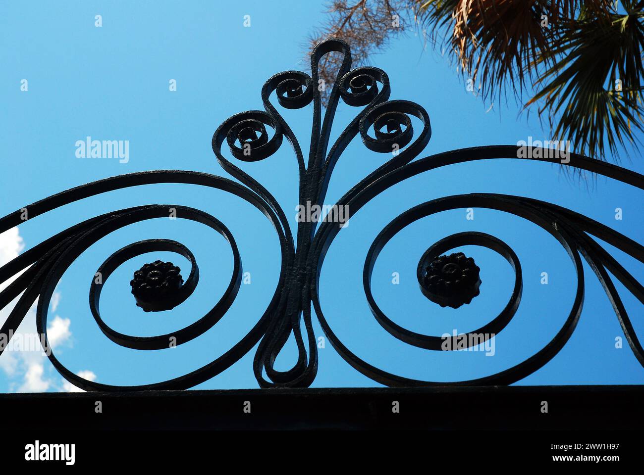 Détails des clôtures en fer forgé à Charleston, Caroline du Sud montre les courbes décoratives et les cercles au sommet de la porte Banque D'Images