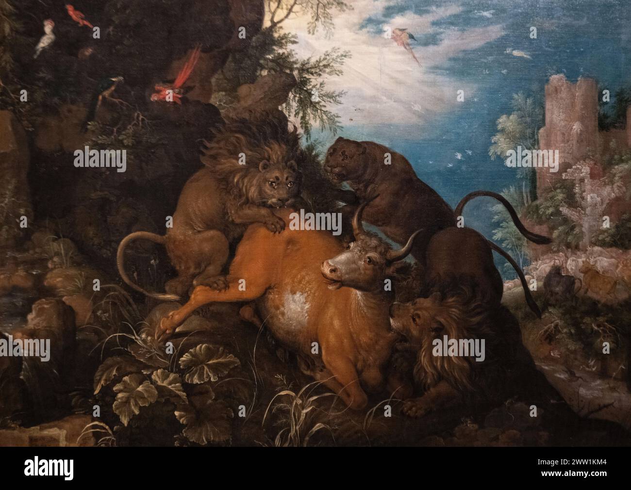 Roelandt Savery : 'paysage avec lions de chasse' (1628) Banque D'Images