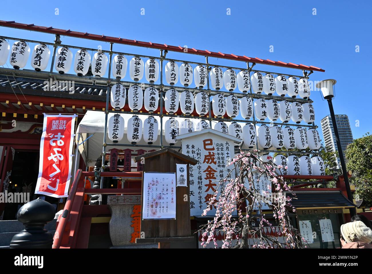 Lanternes de papier Chochin à l'extérieur de Bentendo Shinobazu-no-IKE à Ueno – Taito, Tokyo, Japon – 28 février 2024 Banque D'Images