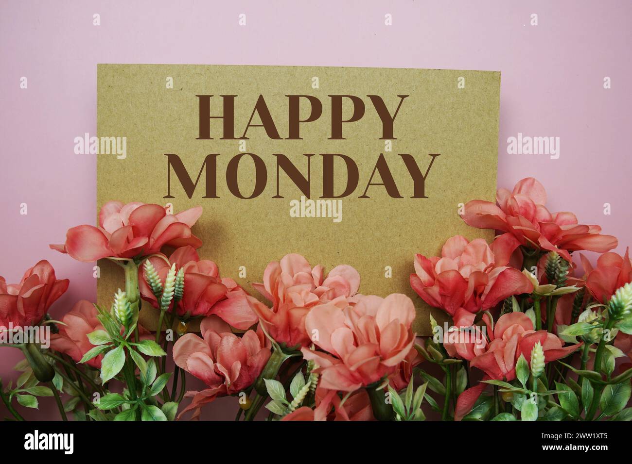 Texte typographique Happy Monday avec fleurs sur fond rose Banque D'Images