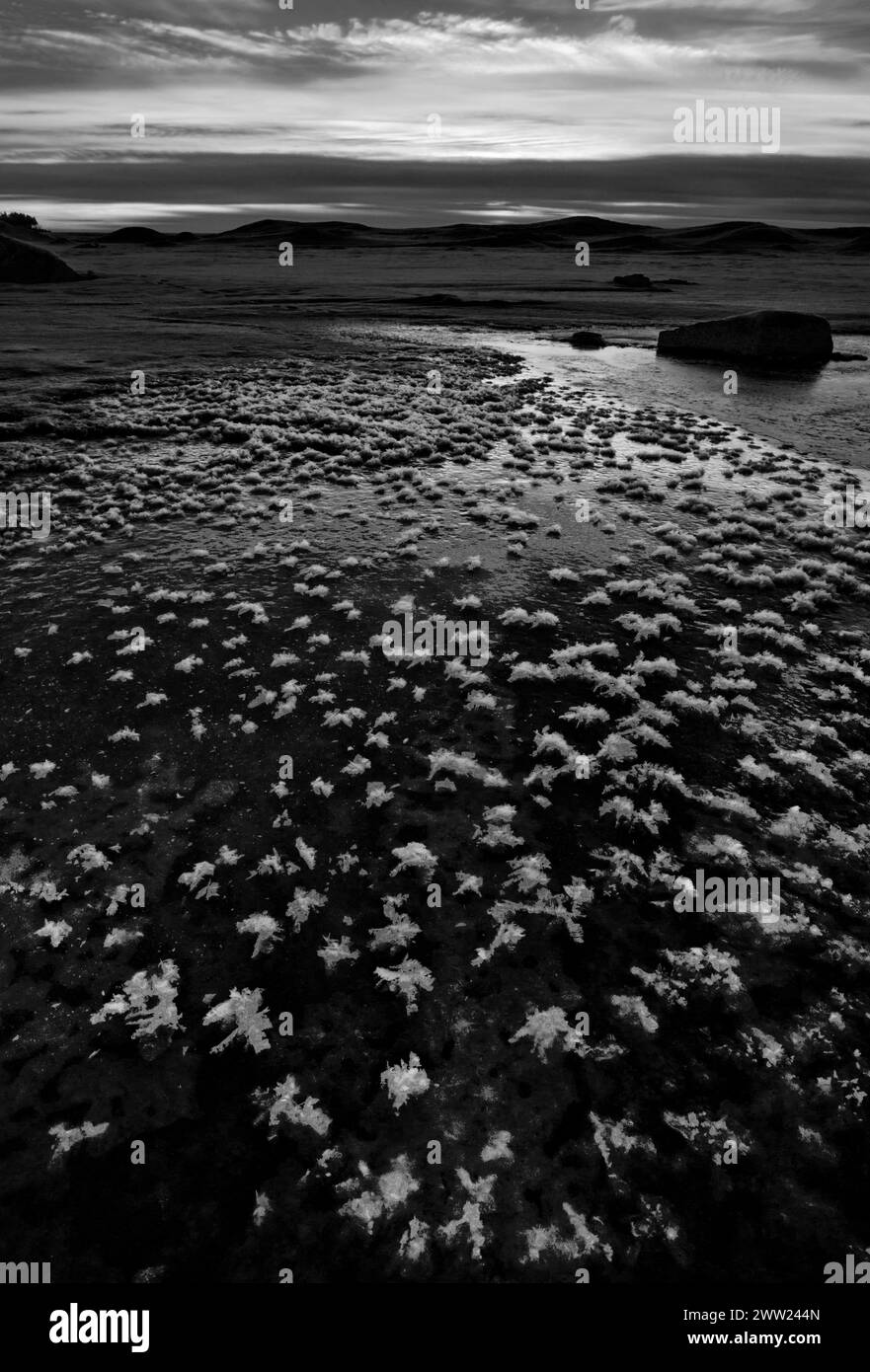 De petites bouffées de cristaux de glace se jettent au sommet de la glace sur la rive de Green Bay au coucher du soleil, sur le lac Michigan, depuis Peninsula State Park, Door County, Wisconsin Banque D'Images