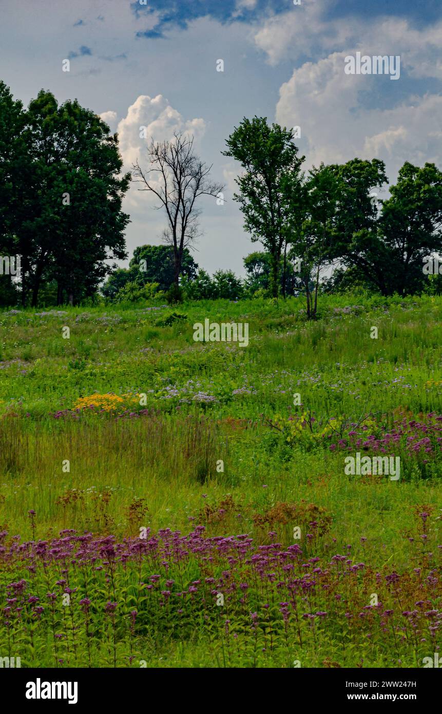 Des nuages se forment sur la prairie remplie de fleurs sauvages à Nhinga Grasslands nature Conservancy, Lee & Ogle County, Illinois Banque D'Images
