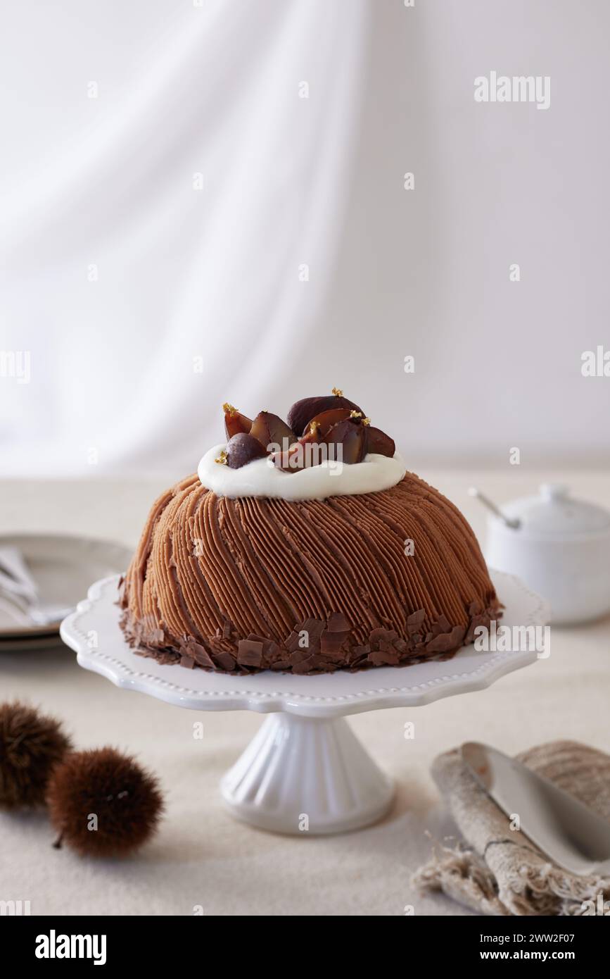 Un gâteau au chocolat sur une assiette blanche Banque D'Images