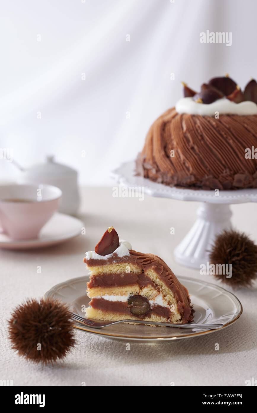 Un gâteau au chocolat sur une assiette blanche Banque D'Images