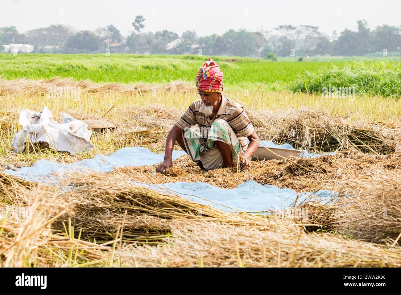Bancharampur-Bangladesh-février 26- 2023- Daily Lifestyle village people, la vie rurale du village local au Bangladesh. Banque D'Images