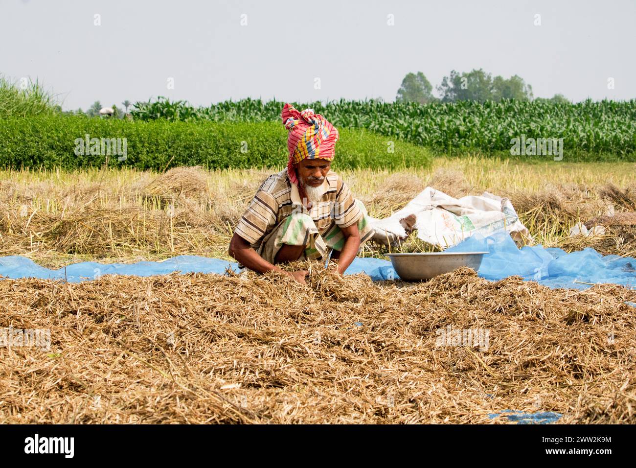 Bancharampur-Bangladesh-février 26- 2023- Daily Lifestyle village people, la vie rurale du village local au Bangladesh. Banque D'Images