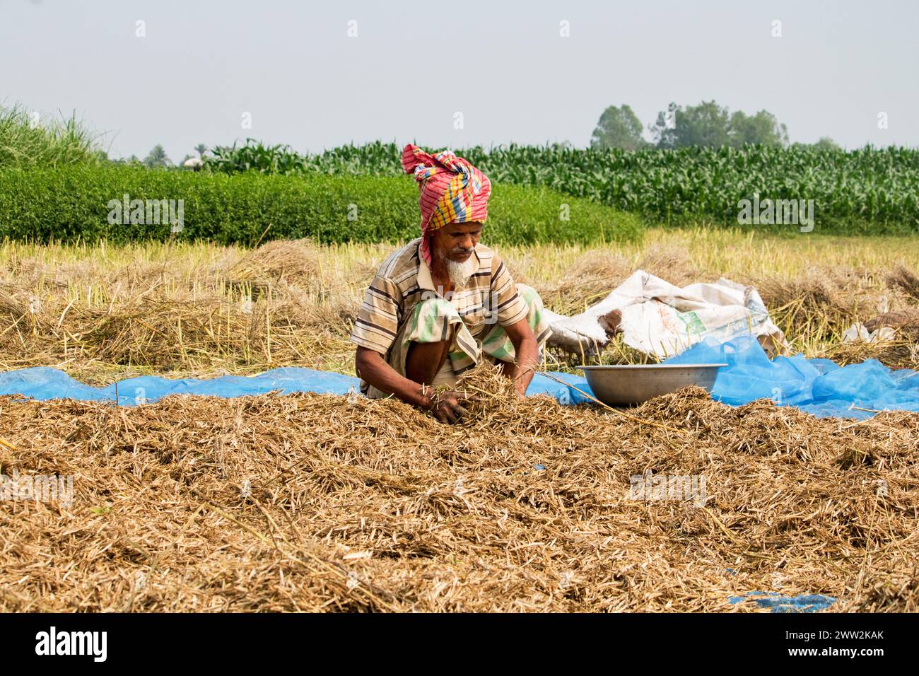 Bancharampur-Bangladesh-février 26- 2023- Daily Lifestyle village people, la vie rurale du village local au Bangladesh. Banque D'Images