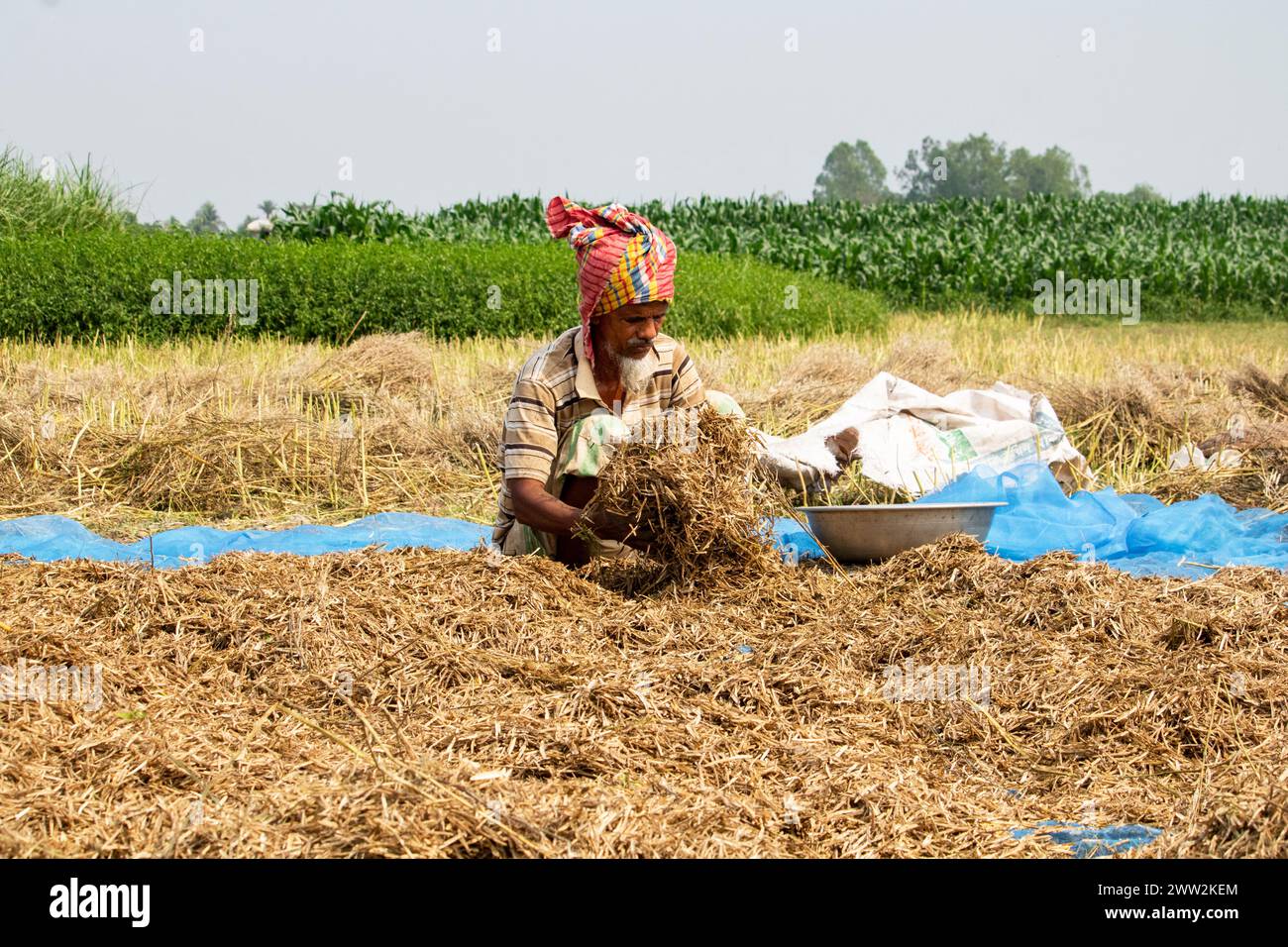 Bancharampur-Bangladesh-février 26- 2023- Daily Lifestyle village people, la vie rurale du village local au Bangladesh. Banque D'Images