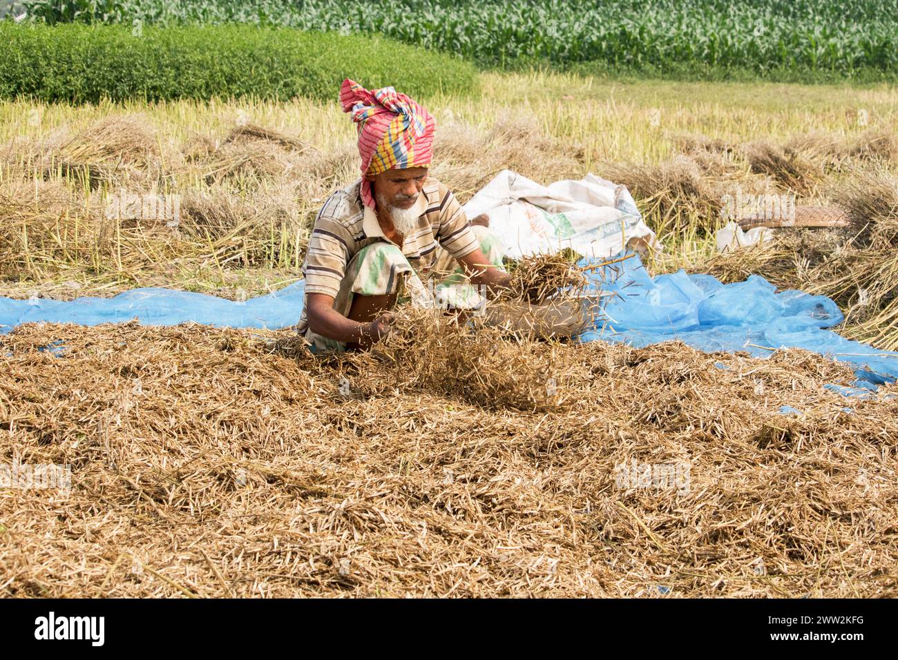 Bancharampur-Bangladesh-février 26- 2023- Daily Lifestyle village people, la vie rurale du village local au Bangladesh. Banque D'Images