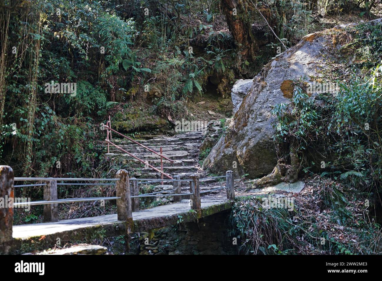 Pont local et marches rocheuses parmi la nature verdoyante le long de la route de trekking à Ghorepani Poon colline, Annapurna Himalaya chaîne - Népal Banque D'Images