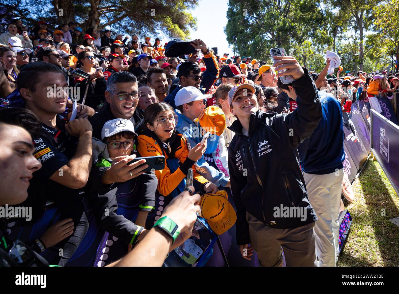 Melbourne, Australie, 21/03/2024, FITTIPALDI Enzo (soutien-gorge), Van Amersfoort Racing, Dallara F2 2024, portrait lors de la 3ème manche du Championnat FIA de formule 2 2024 du 22 au 24 mars 2024 sur le circuit Albert Park, à Melbourne, Australie Banque D'Images