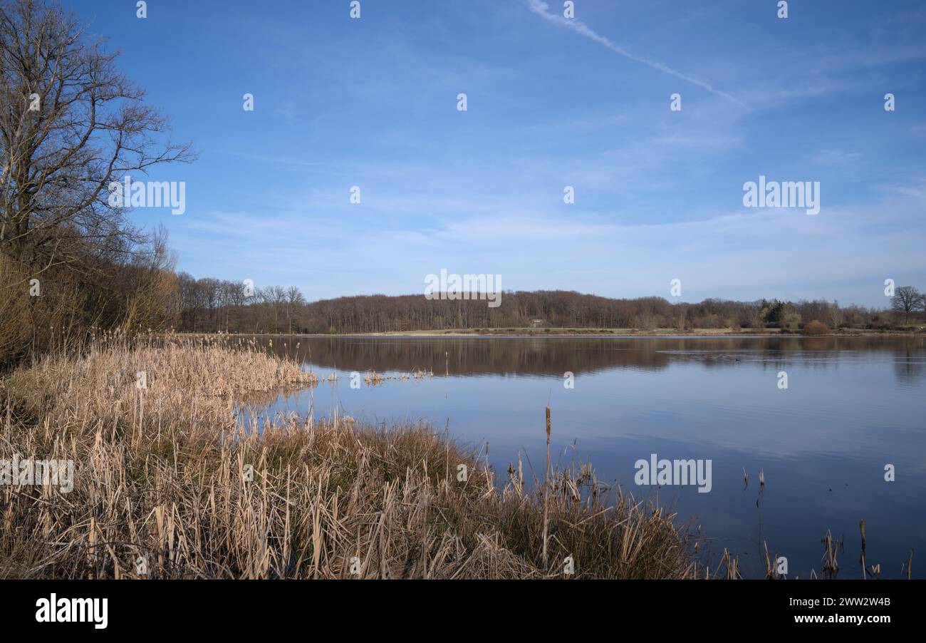 Image panoramique du lac Rodder, Eifel, Rhénanie-Palatinat, Allemagne Banque D'Images