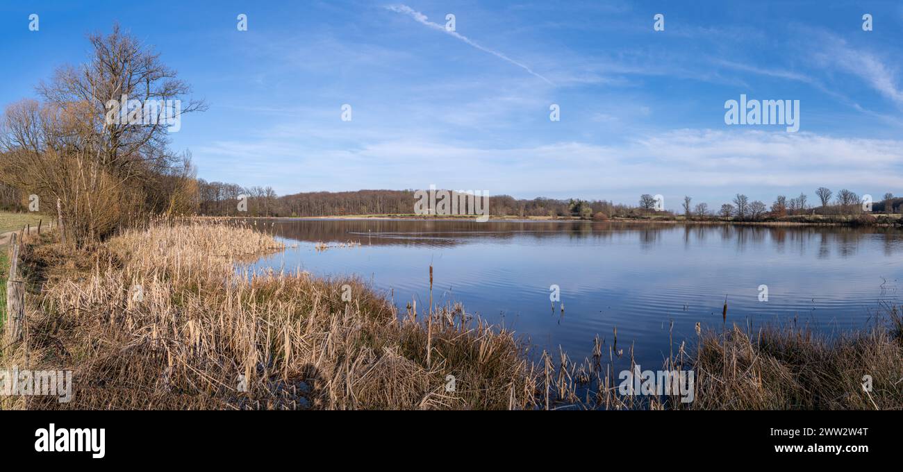 Image panoramique du lac Rodder, Eifel, Rhénanie-Palatinat, Allemagne Banque D'Images