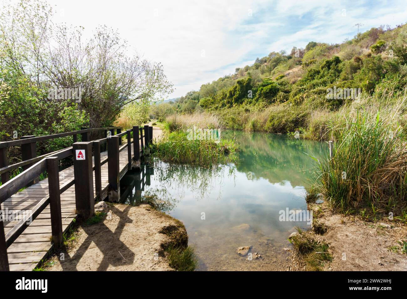 Parc naturel marécageux de Marjal de Pego-Oliva, Valence Banque D'Images