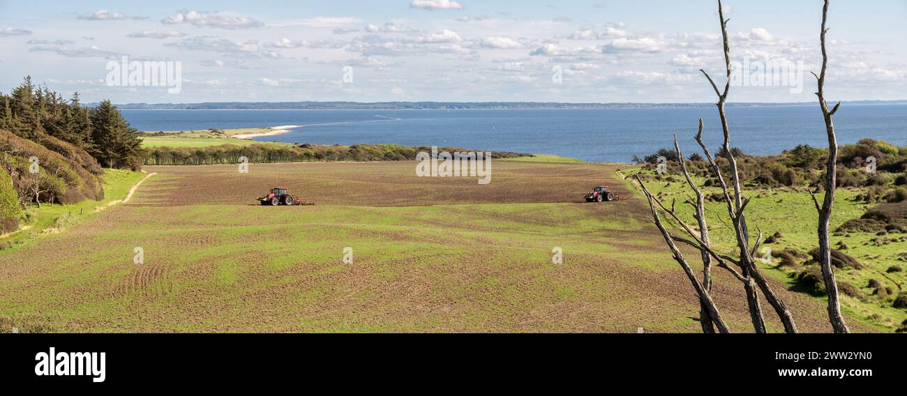 Côte sud-est de l'île de Livø dans le Limfjord avec des tracteurs dans les champs agricoles, Nordjylland, Danemark Banque D'Images