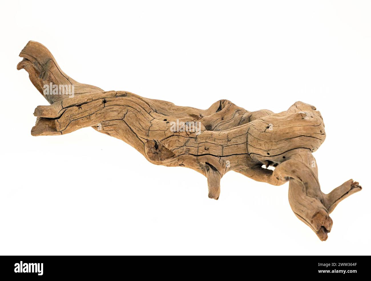 Driftwood ramassé sur une plage, Royaume-Uni Banque D'Images