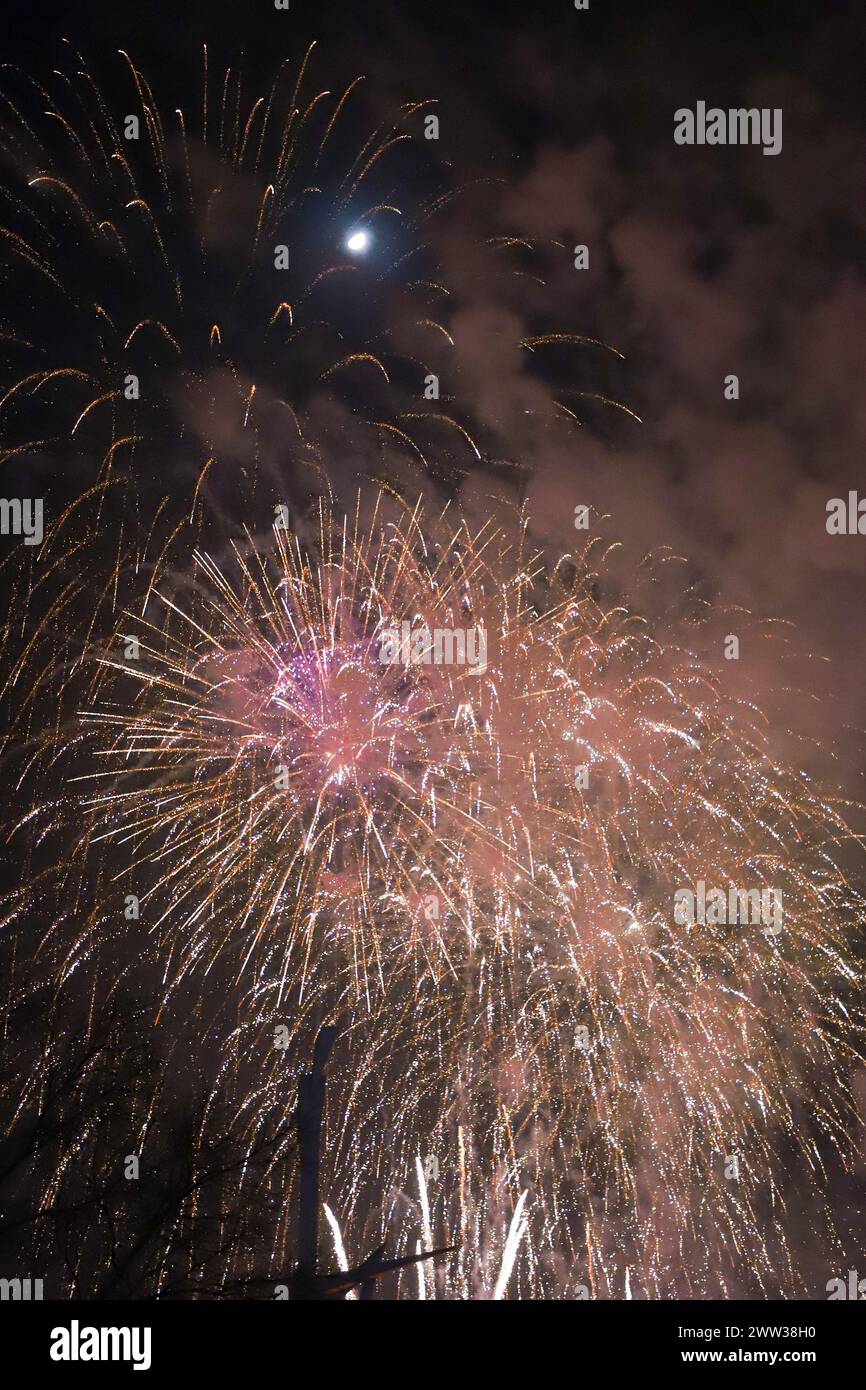Les beaux feux d'artifice de différentes couleurs et formes explosent dans le ciel de Valence pendant la célébration des Fallas Banque D'Images