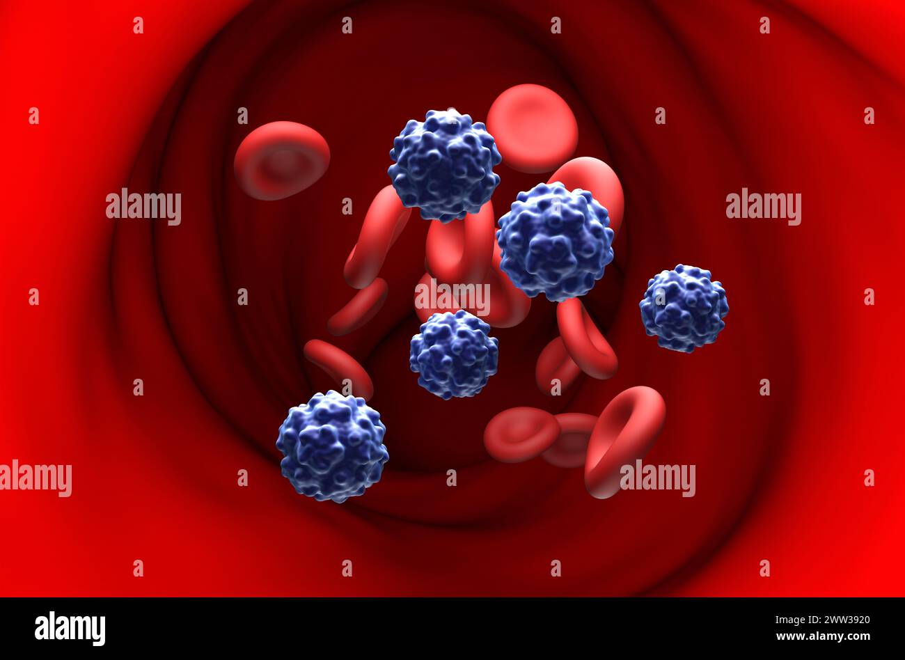 Parvovirus B19 dans l'érythème infectieux - vue en coupe illustration 3D. Banque D'Images