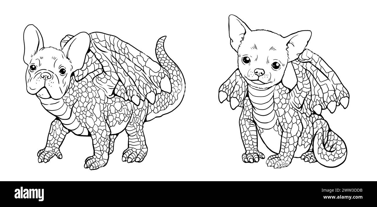 Une créature fantastique : moitié dragon - moitié bouledogue français et chihuahua. Livre de coloriage avec des animaux mutants. Banque D'Images