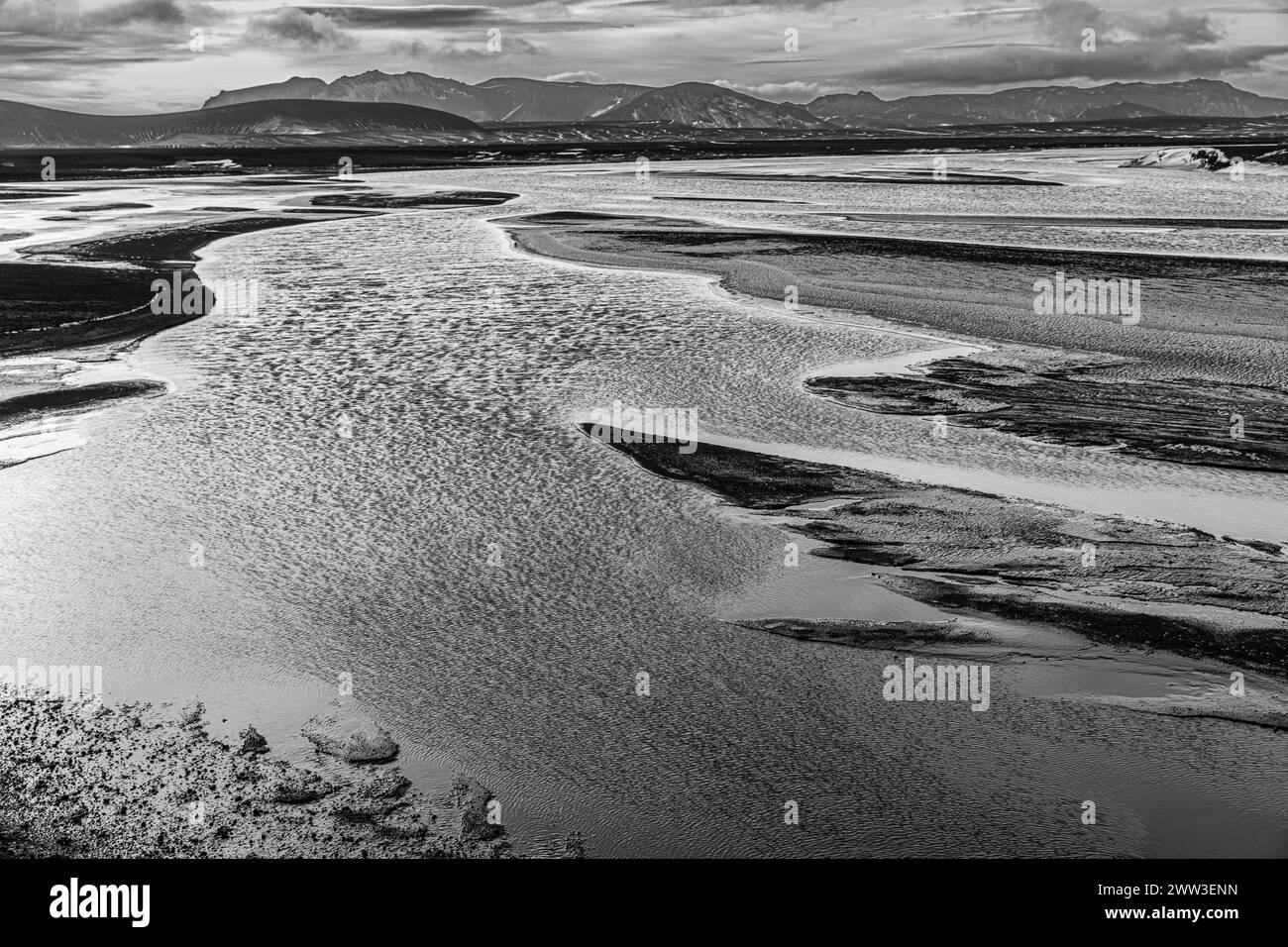 Paysage fluvial envahi par la végétation, photographie en noir et blanc, réserve naturelle de Fjallabak, Sudurland, Islande Banque D'Images