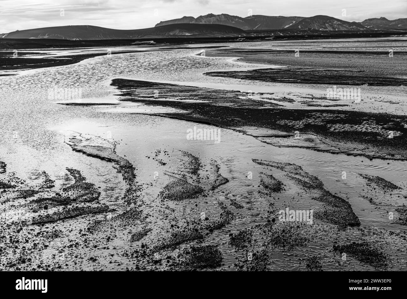 Paysage fluvial envahi par la végétation, photographie en noir et blanc, réserve naturelle de Fjallabak, Sudurland, Islande Banque D'Images