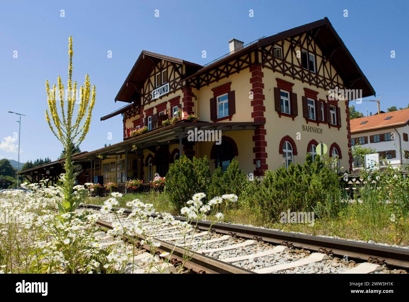 Gare ferroviaire du BOB Bavarian Oberland train Gmund Tegernsee et Verbascum densiflorum mullein Bavière Allemagne Banque D'Images