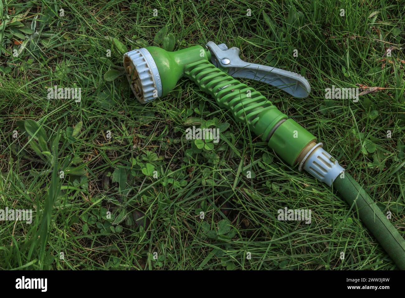 Un pistolet vert pour arroser les plantes dans le jardin avec un tuyau Banque D'Images