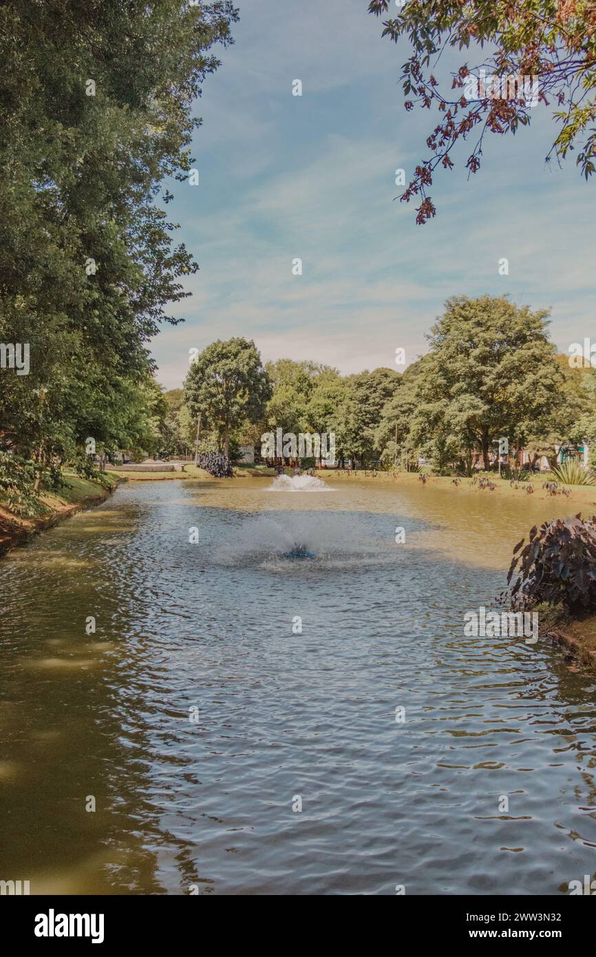 paysage du lac au parc Banque D'Images