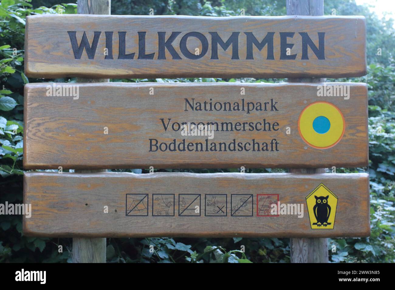 Le parc national de la région lagune de Poméranie occidentale (Nationalpark Vorpommersche Boddenlandschaft) est le plus grand parc national du Mecklembourg-Poméranie occidentale, situa Banque D'Images