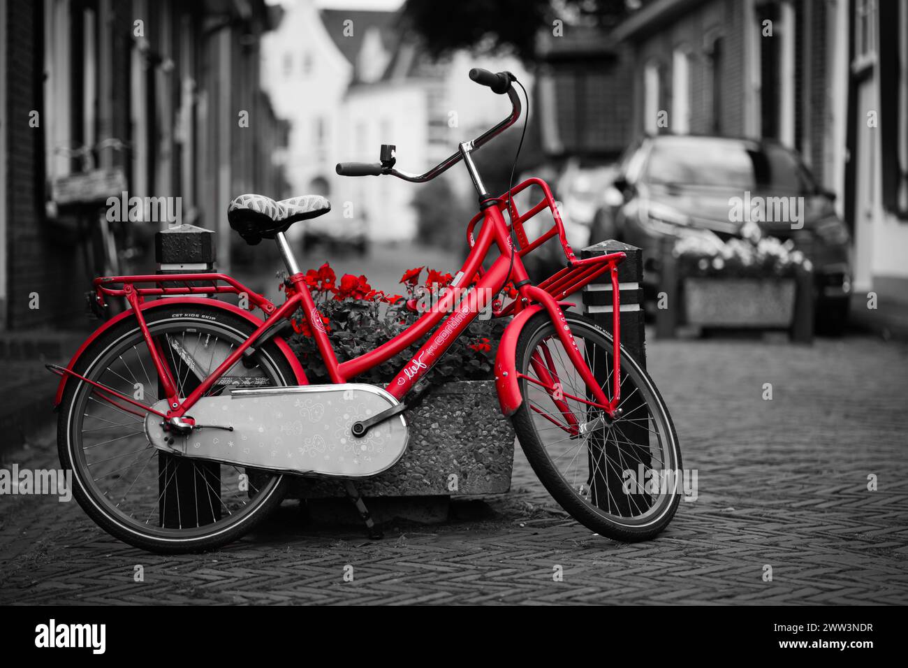 Photographie couleur sélective d'un vélo rouge avec un panier de fleurs sur une vieille rue pavée Banque D'Images
