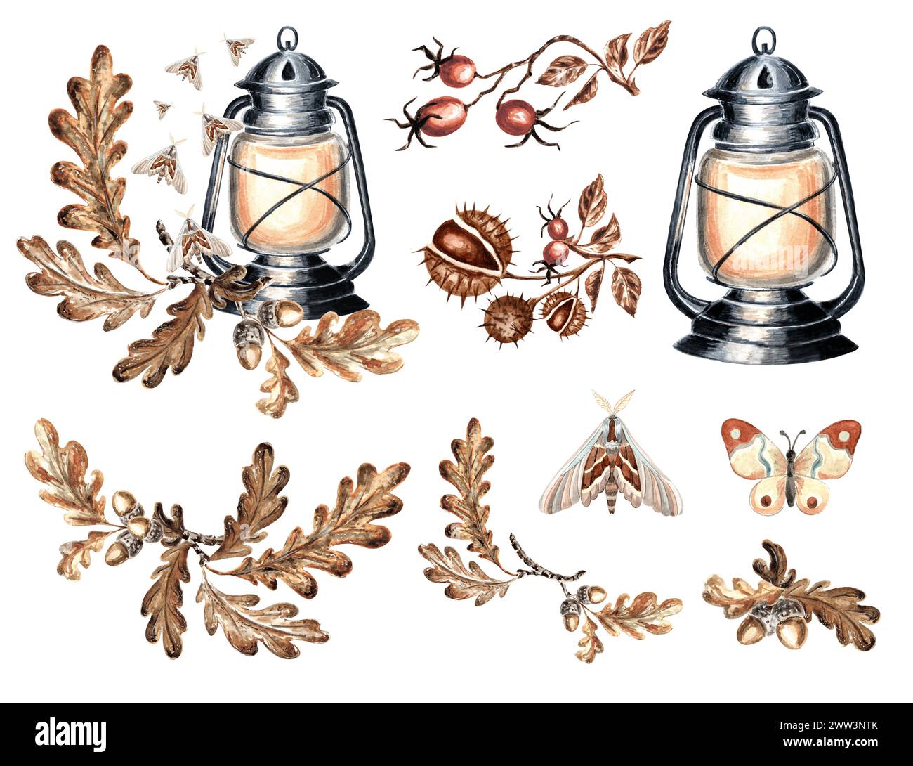 Ensemble vintage de compositions avec lanterne, mites, feuilles de chêne d'automne et rose musquée. Aquarelle illustration dessinée à la main de lampes à kérosène Old Fashioned hom Banque D'Images