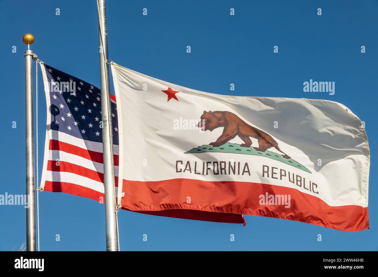 La République de Californie porte drapeau et drapeaux américains flottant côte à côte sur les poteaux Banque D'Images