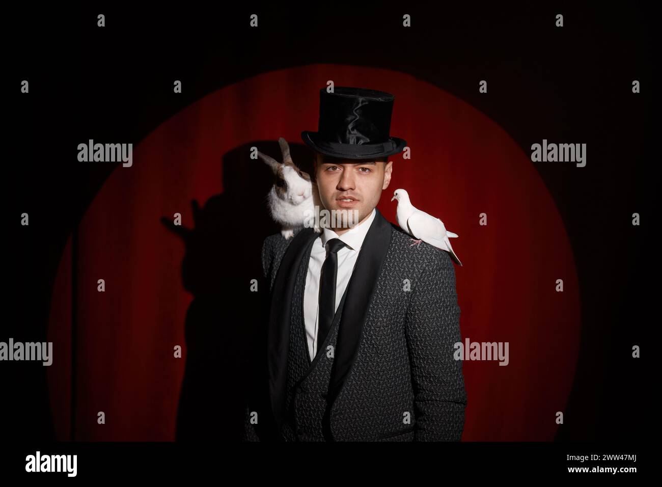 Elégant mystérieux illusionniste montrant des tours avec colombe et lapin Banque D'Images