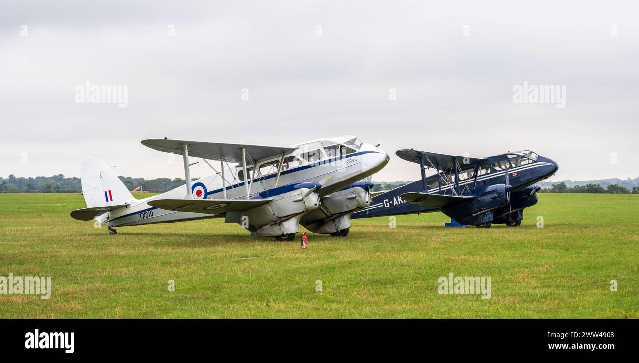De Havilland DH89A Dragon rapide TX310 (G-AIDL) et G-AKIF au Duxford Battle of Britain Air Show 2022, Duxford Airfield, Cambridgeshire, Angleterre, Royaume-Uni Banque D'Images