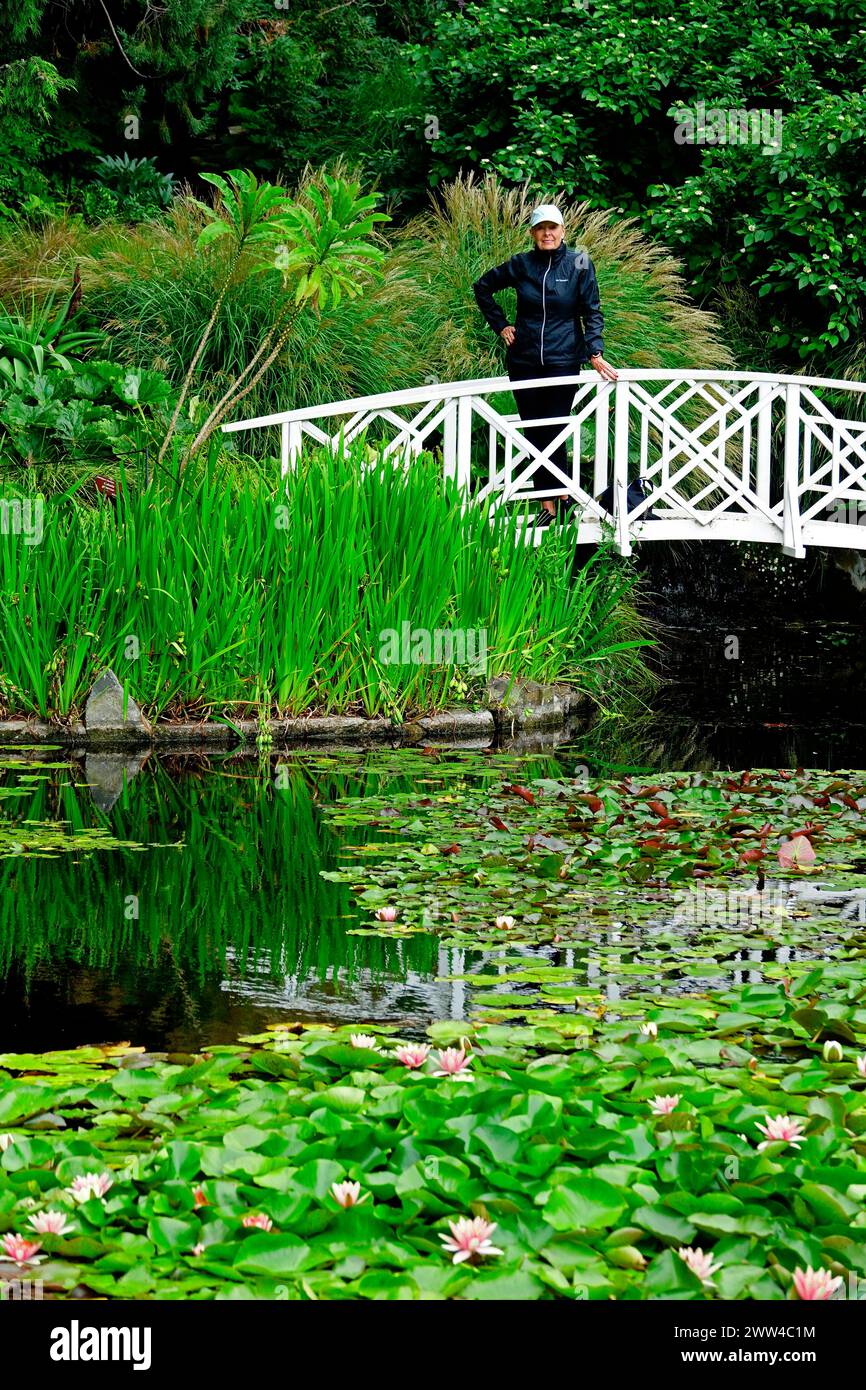 Pond Bridge Royal Tasmanian Botanical Gardens Hobart Tasmanie Australie Banque D'Images