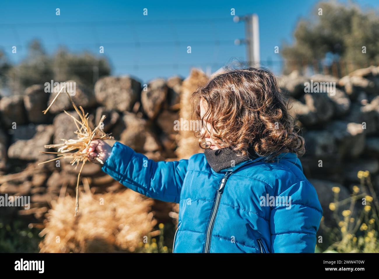 Une jeune fille tient un bouquet de paille à la main. Elle porte une veste bleue et elle s'amuse Banque D'Images