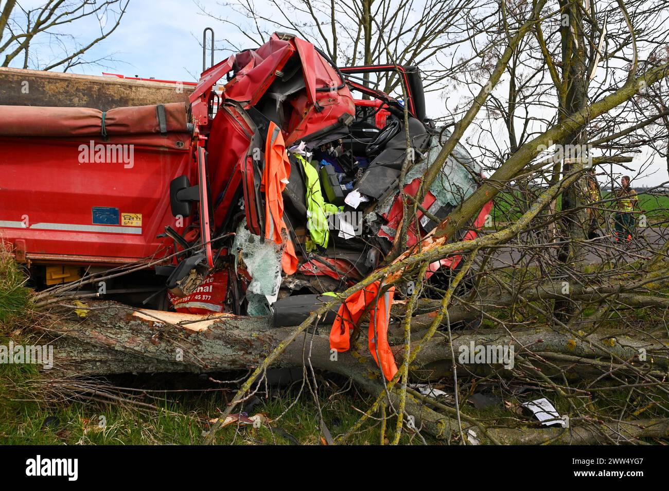 Leipzig - LKW kommt von Straße ab und kracht in Baum : Eingeklemmter Fahrer muss von Feuerwehr befreit werden - schwer verletzt 18.03.2024 gegen 14,30 Uhr Leipzig-Liebertwolkwitz, Güldengossaer Straße Zu einem schweren Unfall kam Am Montagnachmittag gegen 14,30 Uhr in Markkleeberg. Nach ersten Angaben der Polizei War der Fahrer eines Lastwagens mit Anhänger auf der Güldengossaer Straße von Liebertwolkwitz kommend in Richtung Güldengossa unterwegs, als er aus bislang ungeklärter Ursache nach rechts von der Fahrbahn abkam und schwer mit einem Baum am Straßenrand kollidiert ist. Der LKW fällte Banque D'Images