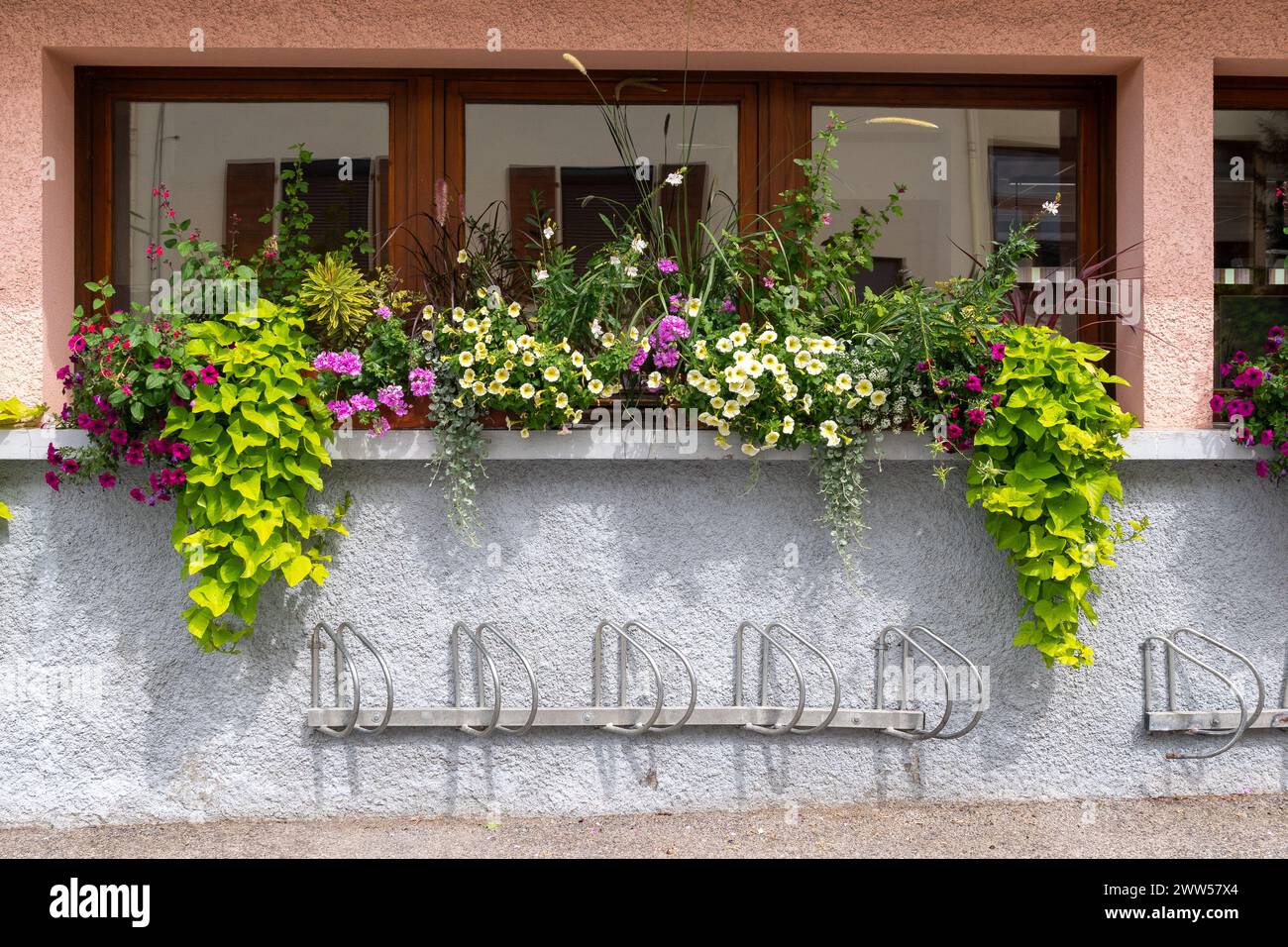 Extérieur d'un immeuble de bureaux moderne avec des plantes en pot à fleurs et des supports à vélos muraux Banque D'Images