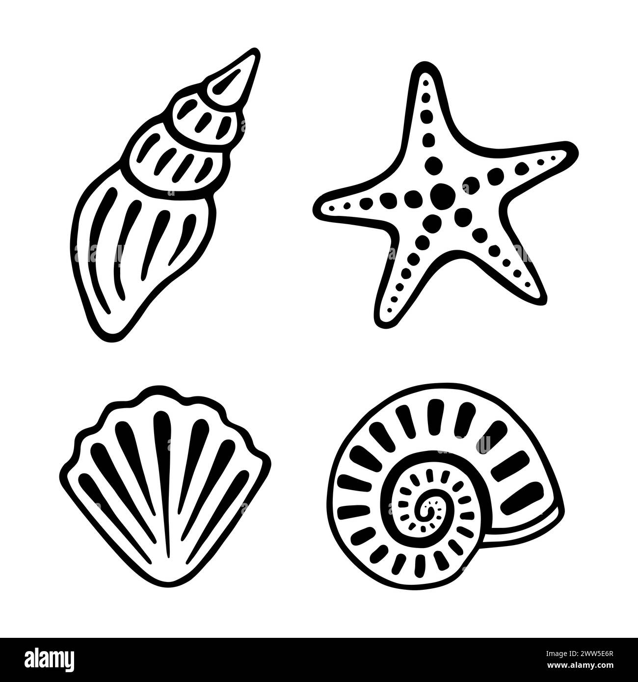 Jeu de dessin à la main de coquillages de mer. Collection marine de crustacés, d'évier et d'étoiles de mer. Illustration vectorielle graphique isolée sur fond blanc. Illustration de Vecteur