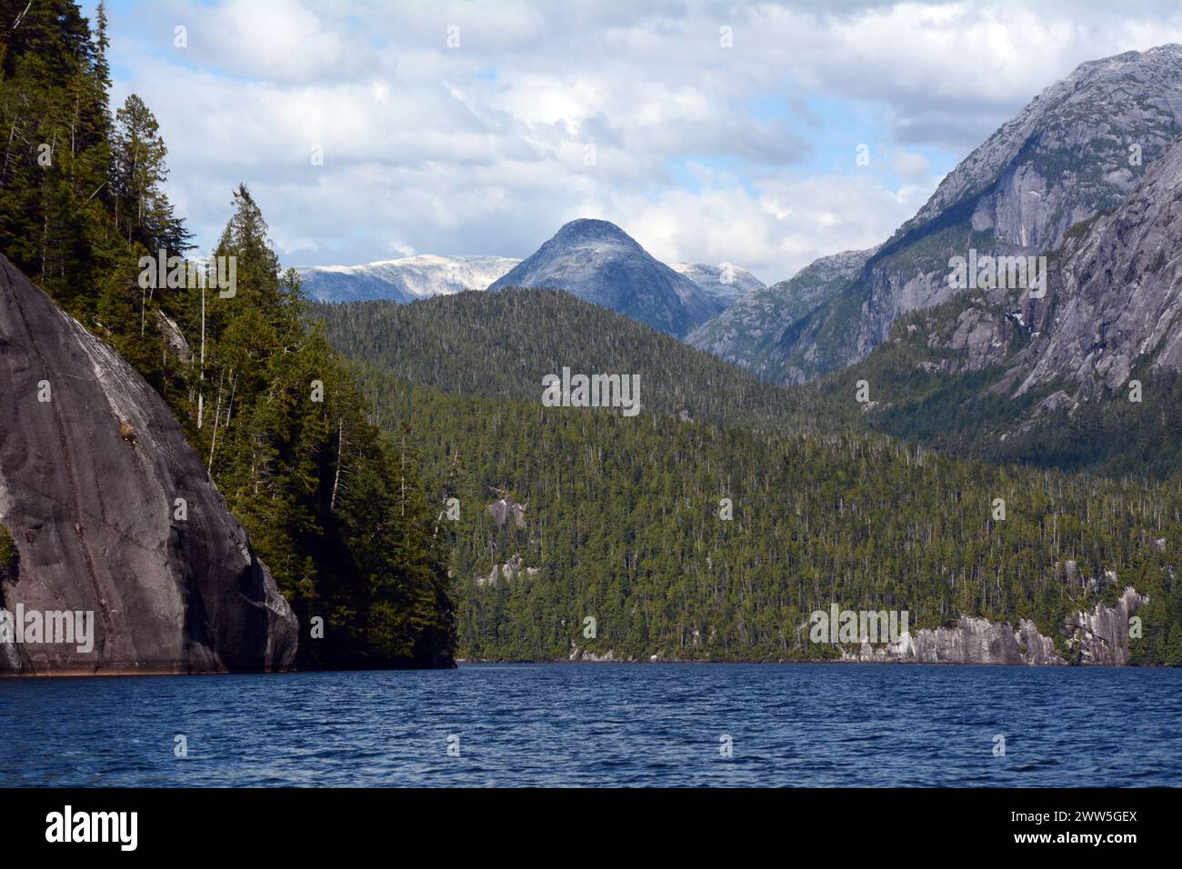 Montagnes et forêt de la côte du Pacifique au lac Ellerslie, dans la forêt pluviale Great Bear, territoire de la première nation Heiltsuk, Colombie-Britannique, Canada. Banque D'Images