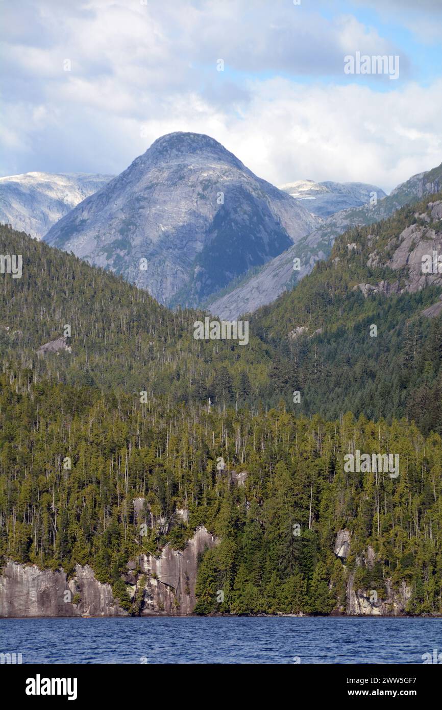Montagnes et forêt de la côte du Pacifique au lac Ellerslie, dans la forêt pluviale Great Bear, territoire de la première nation Heiltsuk, Colombie-Britannique, Canada. Banque D'Images