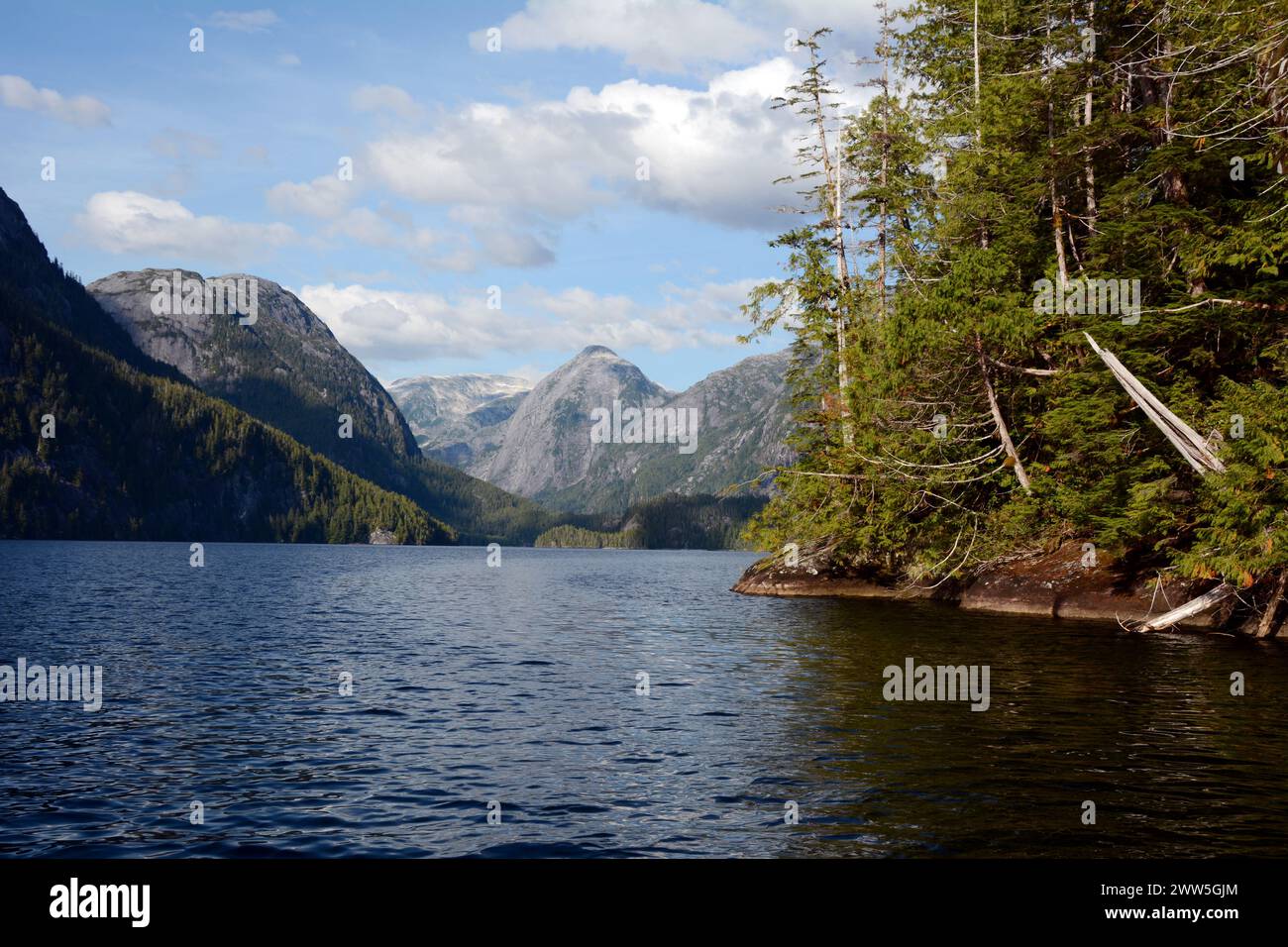 Montagnes et forêt de la côte du Pacifique au lac Ellerslie, dans la forêt pluviale Great Bear, territoire de la première nation Heiltsuk, Colombie-Britannique, Canada. Banque D'Images