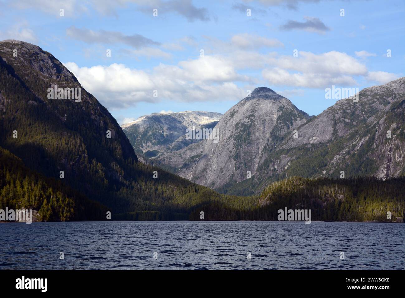 Montagnes et forêt de la côte du Pacifique au lac Ellerslie, dans la forêt pluviale Great Bear, territoire de la première nation Heiltsuk, Colombie-Britannique, Canada. Banque D'Images